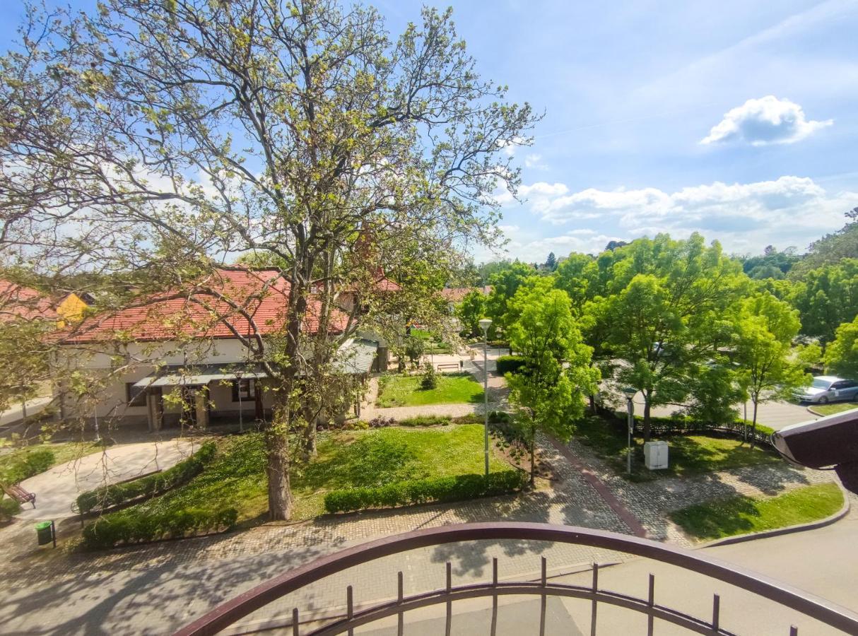 Hotel Viktoria Panzio Zamárdi Exteriér fotografie